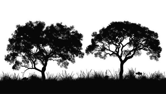 Trees standing in tall grass are rendered as bold black silhouettes against a pure white background to create a striking natural scene suitable for artistic compositions and professional design.