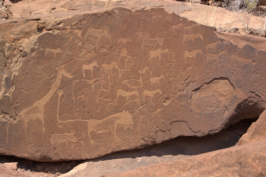 Ancient Rock Engravings Petroglyphs at Twyfelfontein Namibia UNESCO World Heritage Site with African Wildlife Animals
