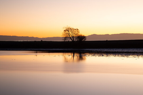 Fall Mood at the San Leandro Marina 