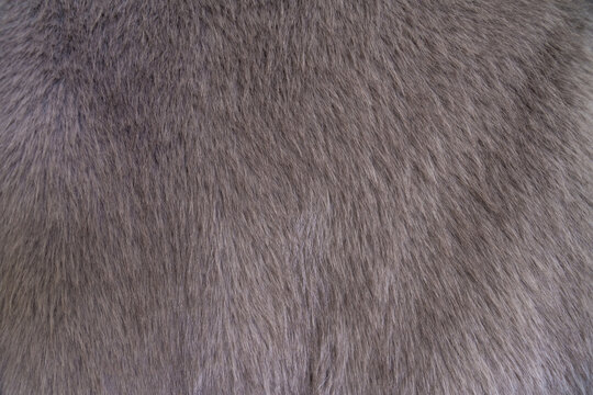 Close-up of a faux fur smoke grey coat. The fluffy texture of the fabric gives a feeling of comfort and warmth, ideal for cozy fashion during the colder months.