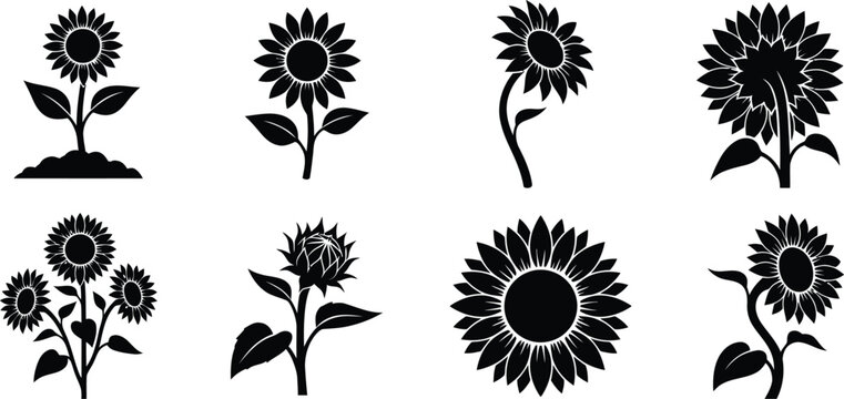 Black sunflower silhouettes on white