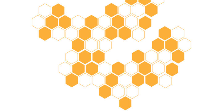 abstract bee outline honeycomb vector.