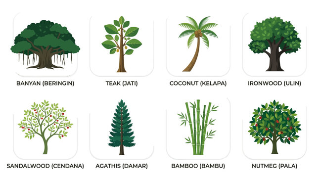 Flat lay illustration of various tropical tree species including banyan, teak, coconut, and sandalwood against a clean white background.