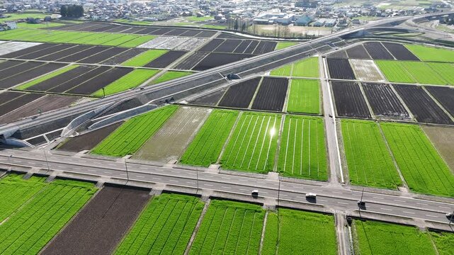 Green fields stretch wide, split by roads and rows. Dark soil contrasts vibrant growth in neat patterns. Vehicles move slowly across fields, connecting land and town. Aerial view captures rural peace