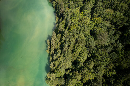 Aerial view of the turquoise waters of Lacul Scropoasa bordering a dense coniferous forest in Scropoasa, Judetul Dambovita, Romania.