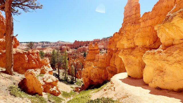 A smooth cinematic video gliding past green pine trees and red sandstone rocks in Bryce Canyon, Utah. Distant hikers are seen exploring the majestic valley trail under a clear blue sky. Nature.