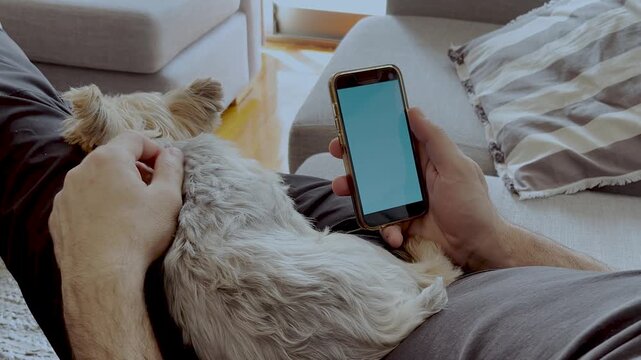 A man holding smartphone with blue screen mockup petting his dog.Pet on its owner's lap receiving affection .Horizontal 4k footage. Relaxing moments. Pet lovers. Technology at home