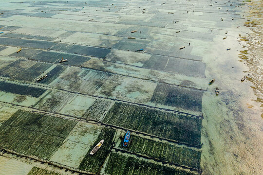 Looking down at traditional seaweed farms in Nusa Lembongan, Bali