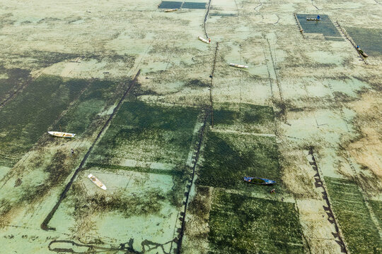 Grid patterns of underwater aquaculture farms in shallow tropical sea with boats