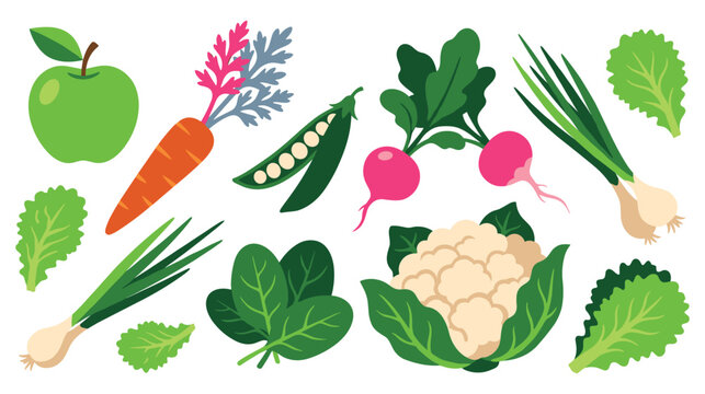 Fresh produce vector set with green apple, carrot, peas, radishes, spring onions, cauliflower.