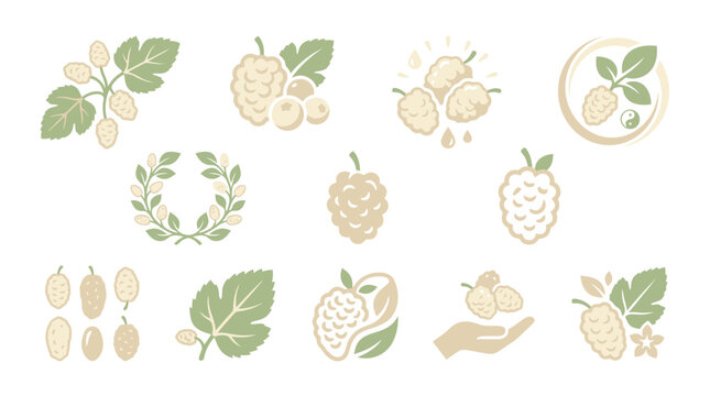 Collection of stylized icons and illustrations featuring mulberries and mulberry leaves, suitable for branding and design.