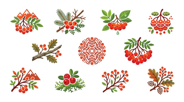Set of decorative elements with rowan berries, oak leaves, and pine branches.
