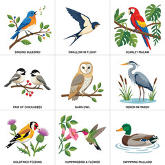 A vibrant grid of nine distinct bird illustrations, showcasing various species like bluebirds, swallows, macaws, owls, herons, goldfinches, hummingbirds, and mallards in their natural habitats. © Insan