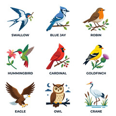 Obraz premium A collection of nine different bird species illustrations, including swallow, blue jay, robin, hummingbird, cardinal, goldfinch, eagle, owl, and crane.