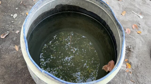 Collecting Rain Water in a Simple Barrel for Gardening