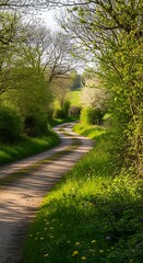 Fototapeta premium Serene forest path winding through lush greenery.