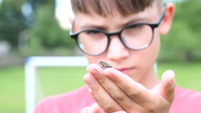 Boy in eyeglasses holding a tiny frog in his hands, carefully examining the small amphibian he found, focusing on nature and wildlife discovery in an outdoor setting