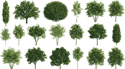 Fototapeta premium Collection of various green deciduous trees and shrubs isolated on white background for architectural landscape design projects
