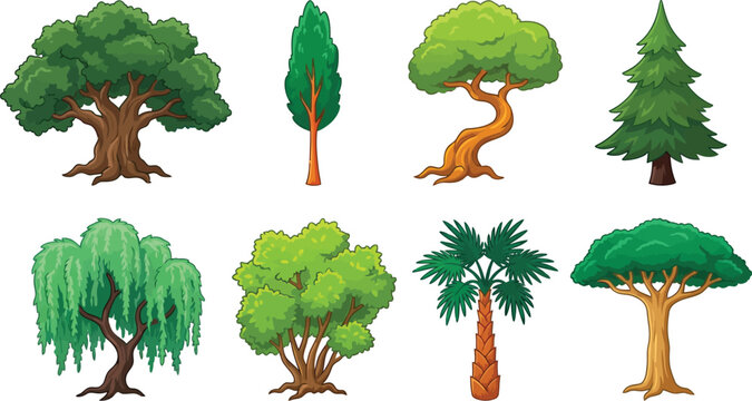 Set of various cartoon trees including oak pine willow and palm isolated on white background vector illustration