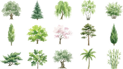 Fototapeta premium Set of various watercolor trees including oak pine willow birch and palm isolated on white background vector