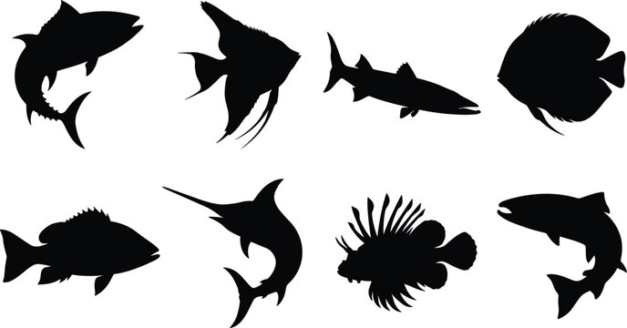Marine and freshwater fish silhouette vector set including tuna angelfish barracuda swordfish lionfish and salmon
