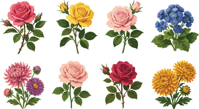  Colorful botanical vector flower set featuring realistic pink yellow red roses chrysanthemum and blue hydrangea blossoms isolated on white background