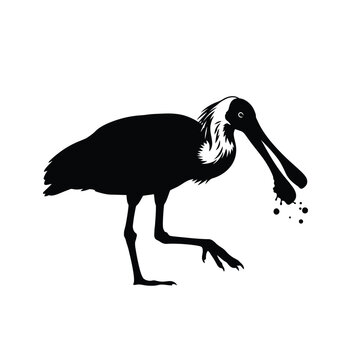 Black silhouette illustration of a spoonbill bird standing and eating