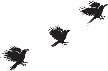 Obraz premium Black silhouette of birds in flight with spread wings and dynamic movements