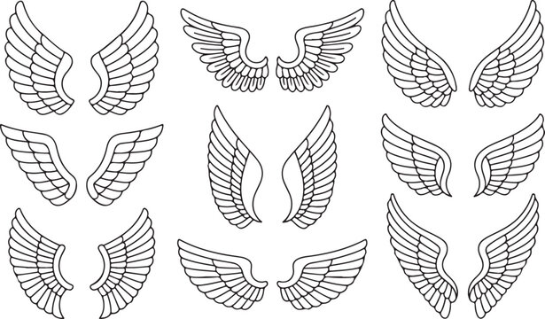 A collection of various wing designs and shapes in black lines on white background