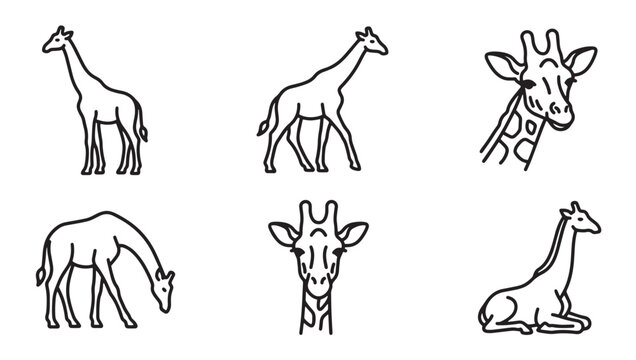 Giraffe animal icon set vector illustration collection with wildlife herbivore collection illustration minimalist creature standing portrait graceful