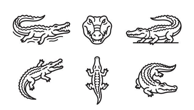 Collection of alligator and crocodile vector outline illustrations with alligator crocodile predator wildlife dangerous illustration collection monochrome isolated aggressive tropical