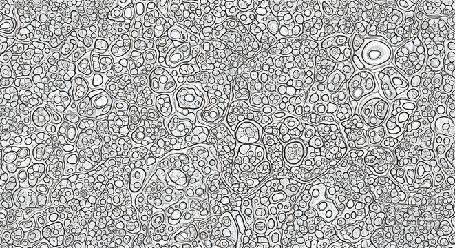 Intricate cellular texture abstract organic pattern in black and white