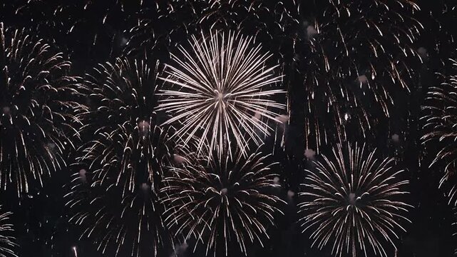 Bright white fireworks explode in the dark night sky during a celebration