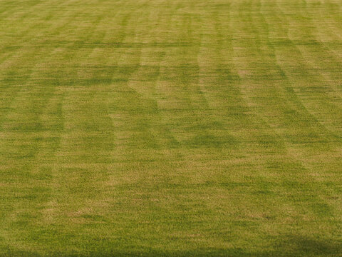 Turf surface of the stadium field features a pattern alternating between light green and dark green.