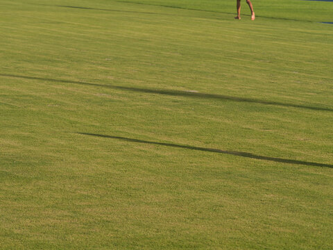Turf surface of the stadium field features a pattern alternating between light green and dark green.