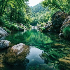 Obraz premium Small river flows through green forest with rocks and clear water on a sunny day