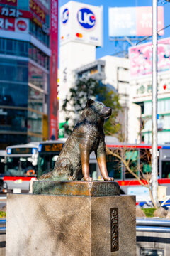 Japan, Tokyo - February 1, 2026: Detailed view of the famous Hachiko statue standing proudly in a lively urban, surrounded by city traffic, modern buildings, and cultural landmark atmosphere
