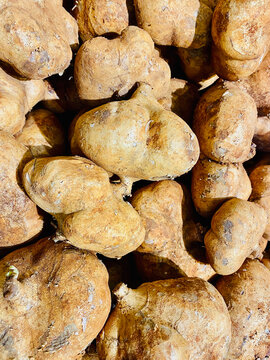 Top view of fresh raw jicama roots texture background full frame
