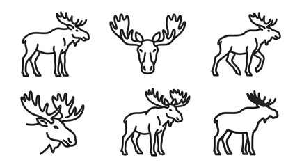 Fototapeta premium Hand drawn ink illustration set featuring moose in different positions wildlife illustration collection minimalist stylized portrait standing majestic wilderness canadian creature isolated