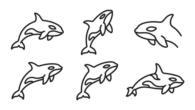 Set of killer whale orca line art vector illustrations with wildlife swimming predator collection isolated minimalist creature underwater atlantic cetacean predatory intelligence