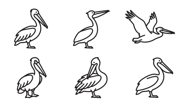 Set of six pelican bird icons in various poses as line drawings with wildlife waterfowl illustration isolated silhouette collection standing swimming preening minimalist monochrome creature