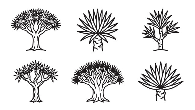 Set of hand-drawn stylized desert tree illustrations including dragon blood trees and succulents in outline art style with illustration botanical collection succulent monochrome isolated