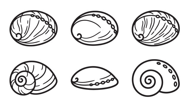 Collection of hand drawn abalone shell illustrations in black and white line art style with seashell illustration monochrome gastropod underwater collection minimalist nautical seashells