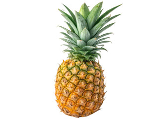 Fototapeta premium Whole Ripe Pineapple with Green Tuft Isolated