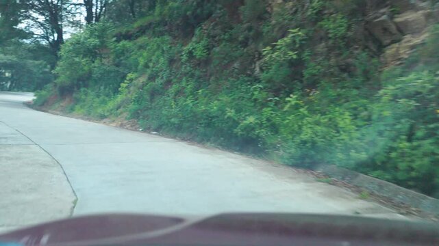 Queretaro POV Drive Past Wildlife Crossing Road Sign 