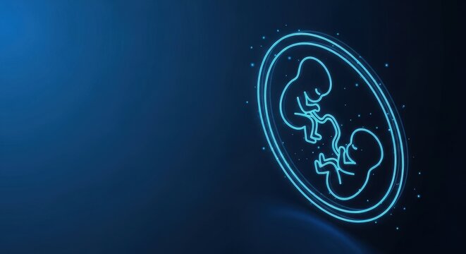 Fetus development in neon blue outline within a gestating oval, illustrating early human life and scientific concept