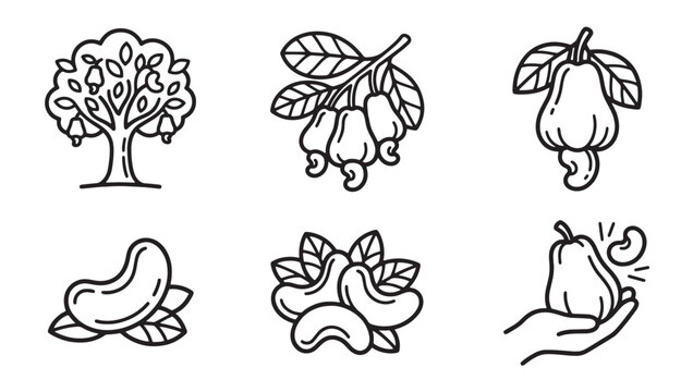 Cashew nut tree and fruit line art collection with agriculture botanical ingredient illustration monochrome minimalist collection cultivation vegetarian nutrition