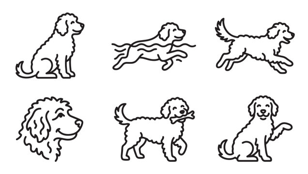 Set of cute goldendoodle dog breed line art icons depicting various activities and poses with goldendoodle swimming retriever illustration collection domestic companion portrait activity