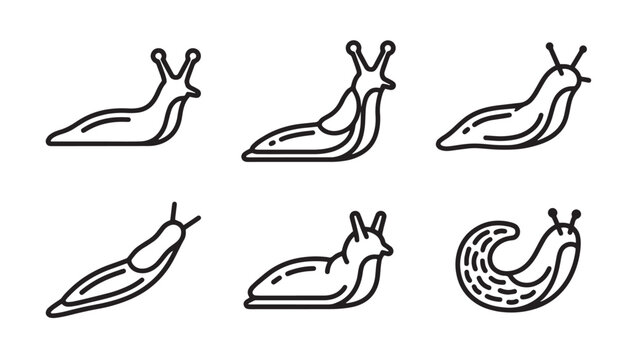 Set of six slug line art illustrations showing various crawling and shell-less shapes with creature gastropod wildlife illustration collection crawling shellless minimalist isolated creeping