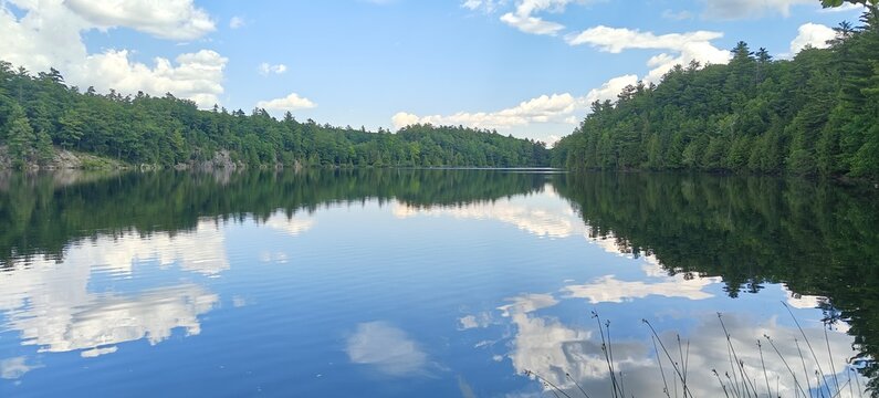 reflection of trees in the lake